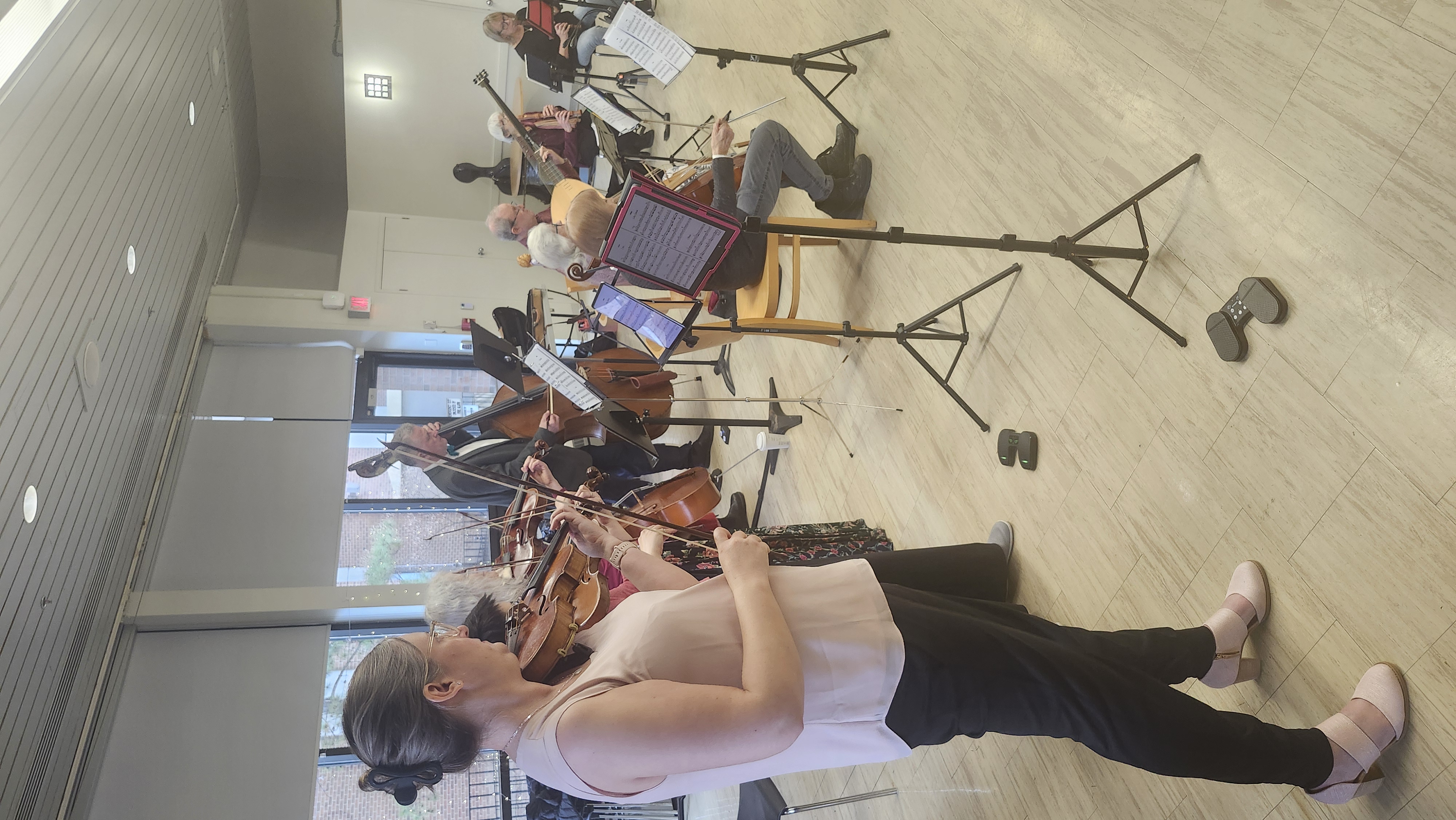 A side view of an ensemble with violins, viola, viola de gamba, double bass, recorders.
